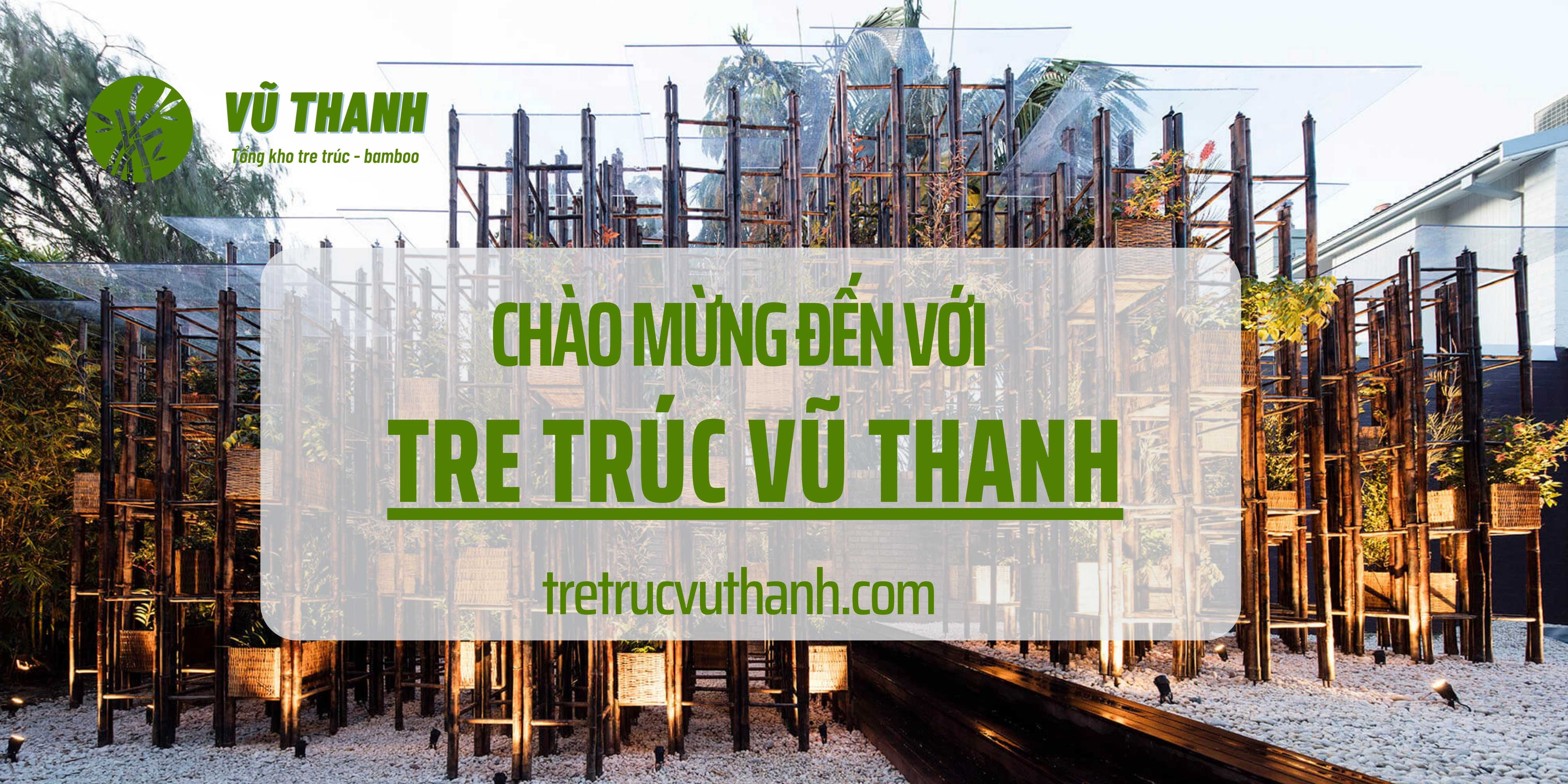 Banner Tre Trúc Vũ Thanh